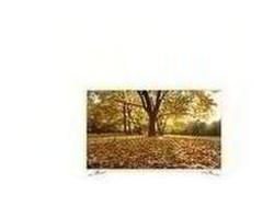 Samsung UE48H6410 Smart 3D 48  LED TV